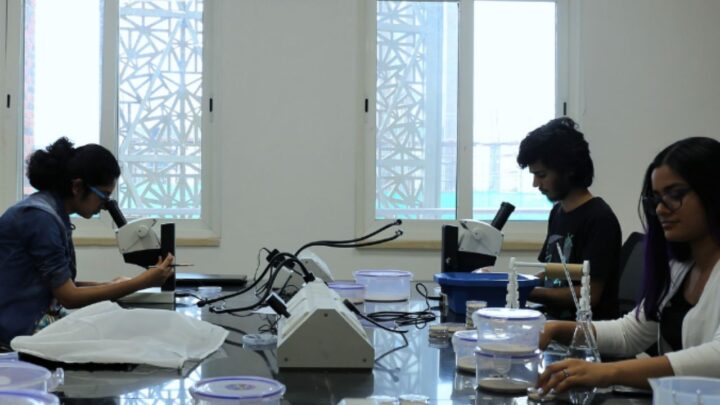Developmental Biology Scholarship and Education